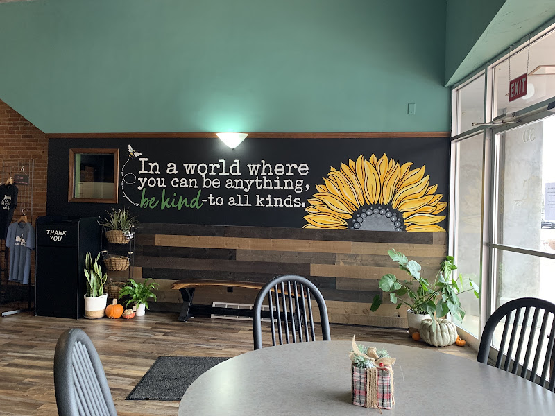 Tiger Lily Café photo 4